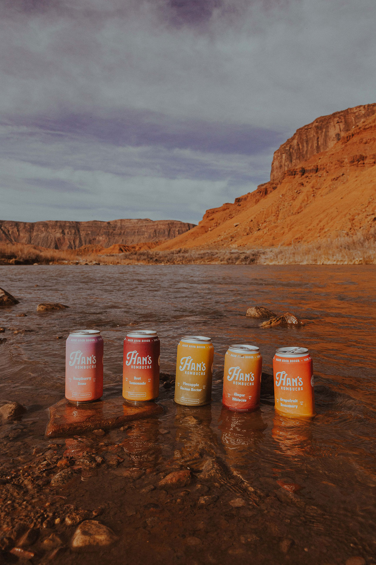 Han's Kombucha Cans in the Desert