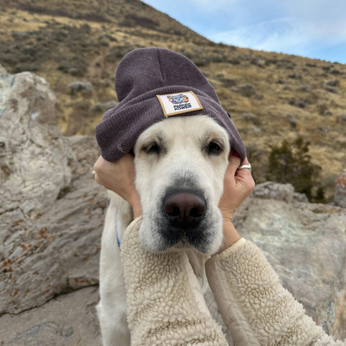 Han's Kombucha Parker Power Beanie